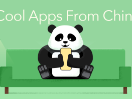 十二生肖光背花钱