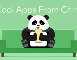 十二生肖光背花钱