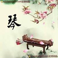 琴-^-^四测试02