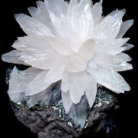 荷花玉石