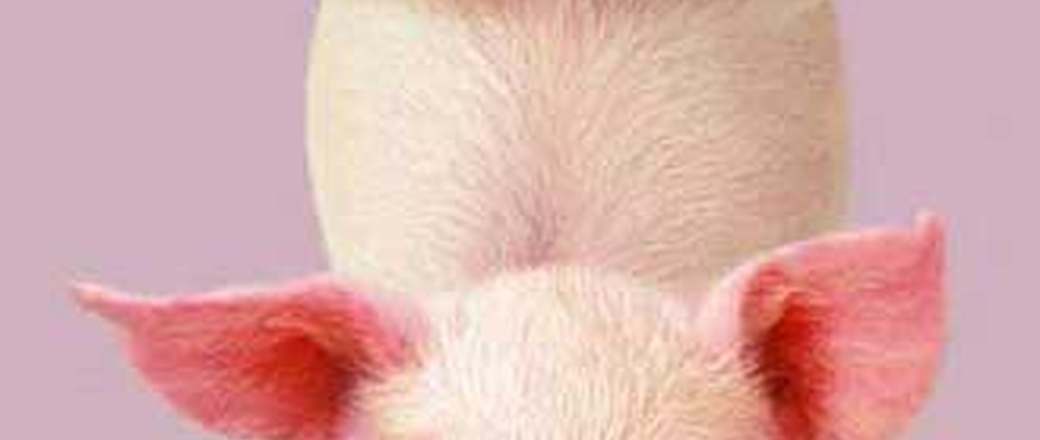 test22