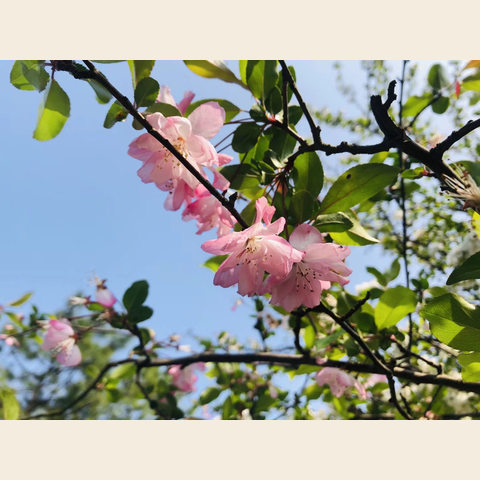 细节展示放大镜特效