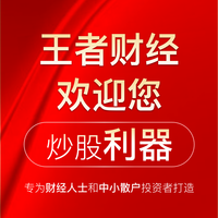 大花瓶