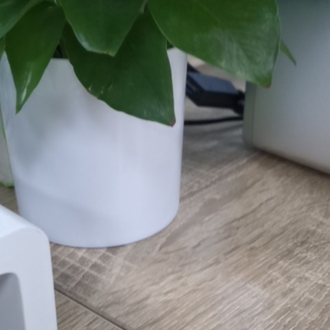 细节展示放大镜特效